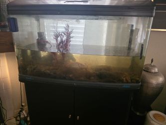 Aquarium