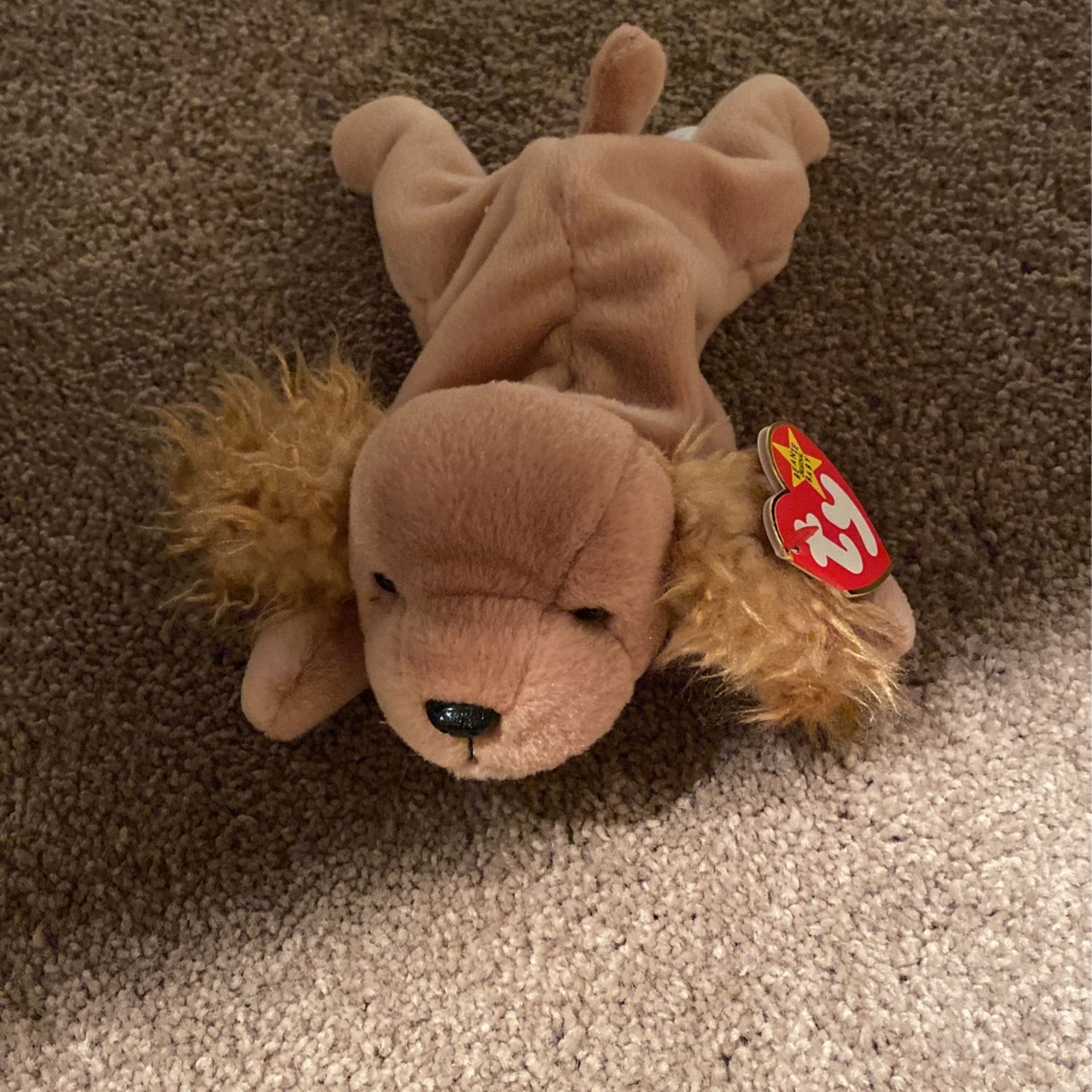 Spunky The Pup Beanie Baby 