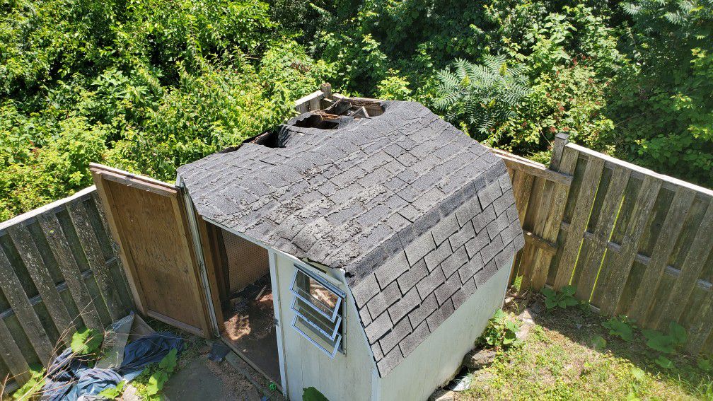 Free shed--needs repair to roof and possibly floor