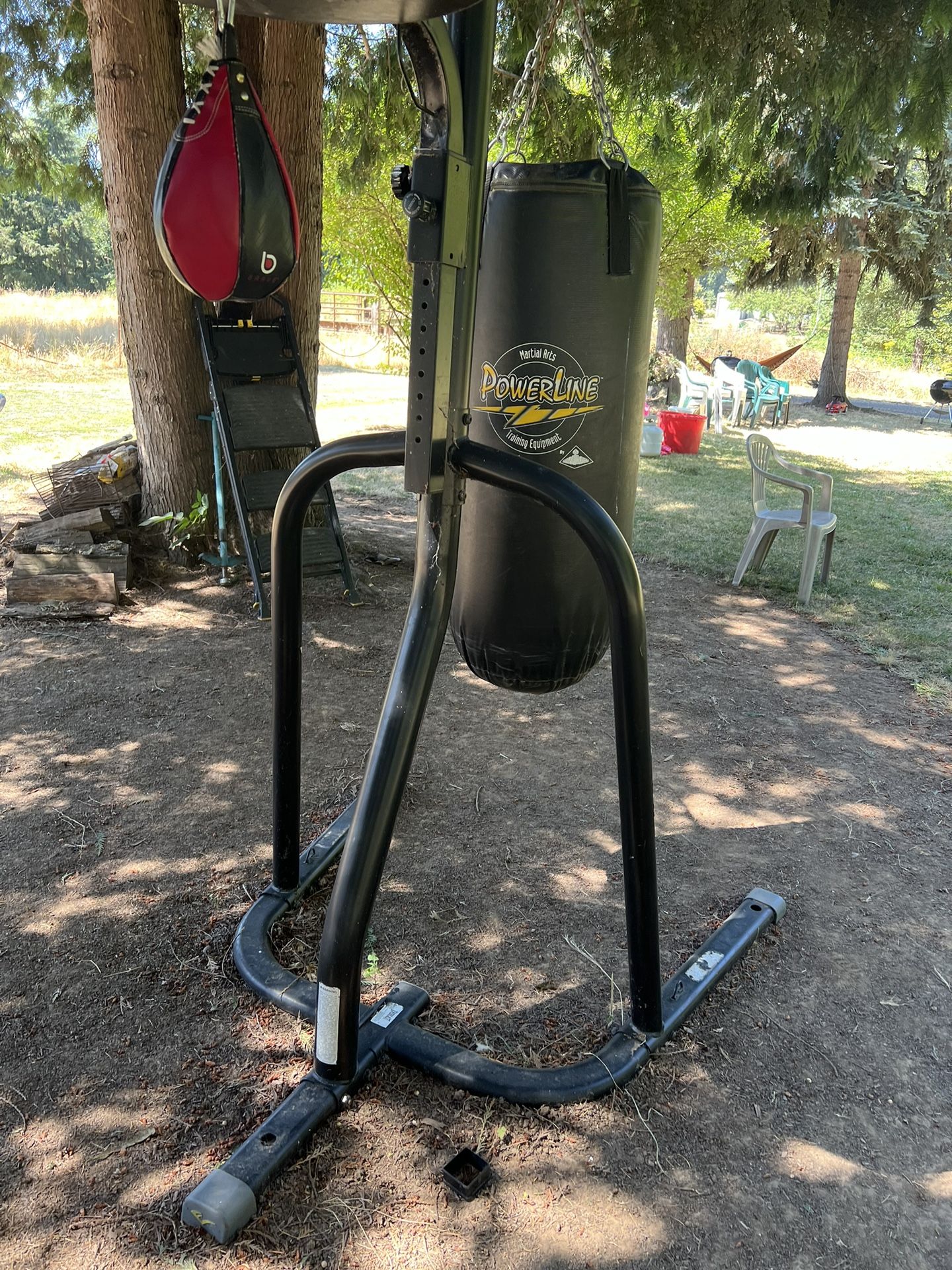 Punching Bag And Speed Bag 