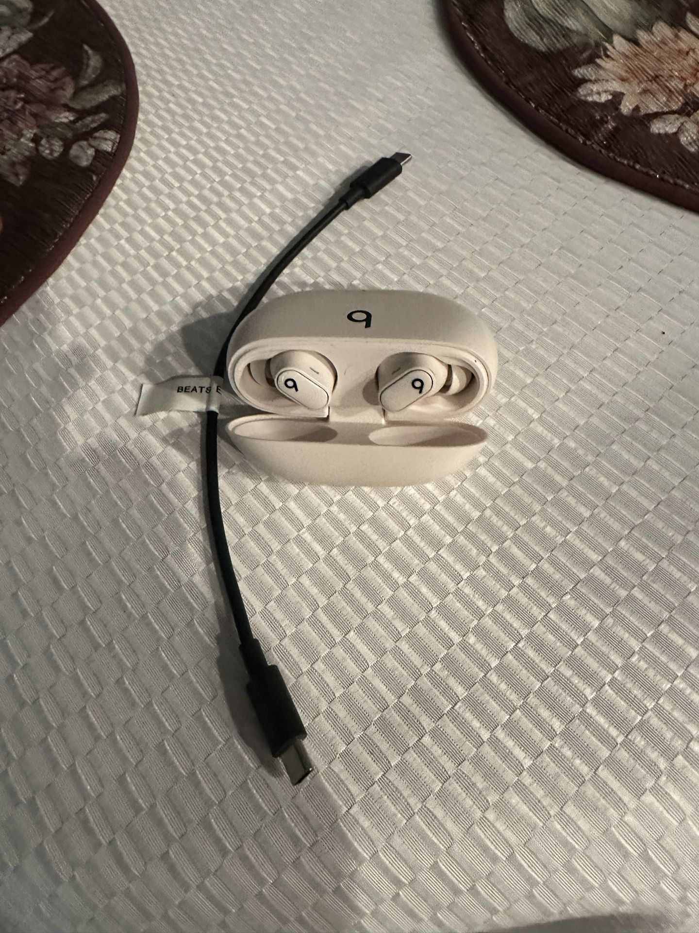 Beats Pro Earbuds