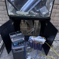 36 Inch Aquarium With Lights And Everything Needed 