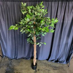 Faux Ficus Tree