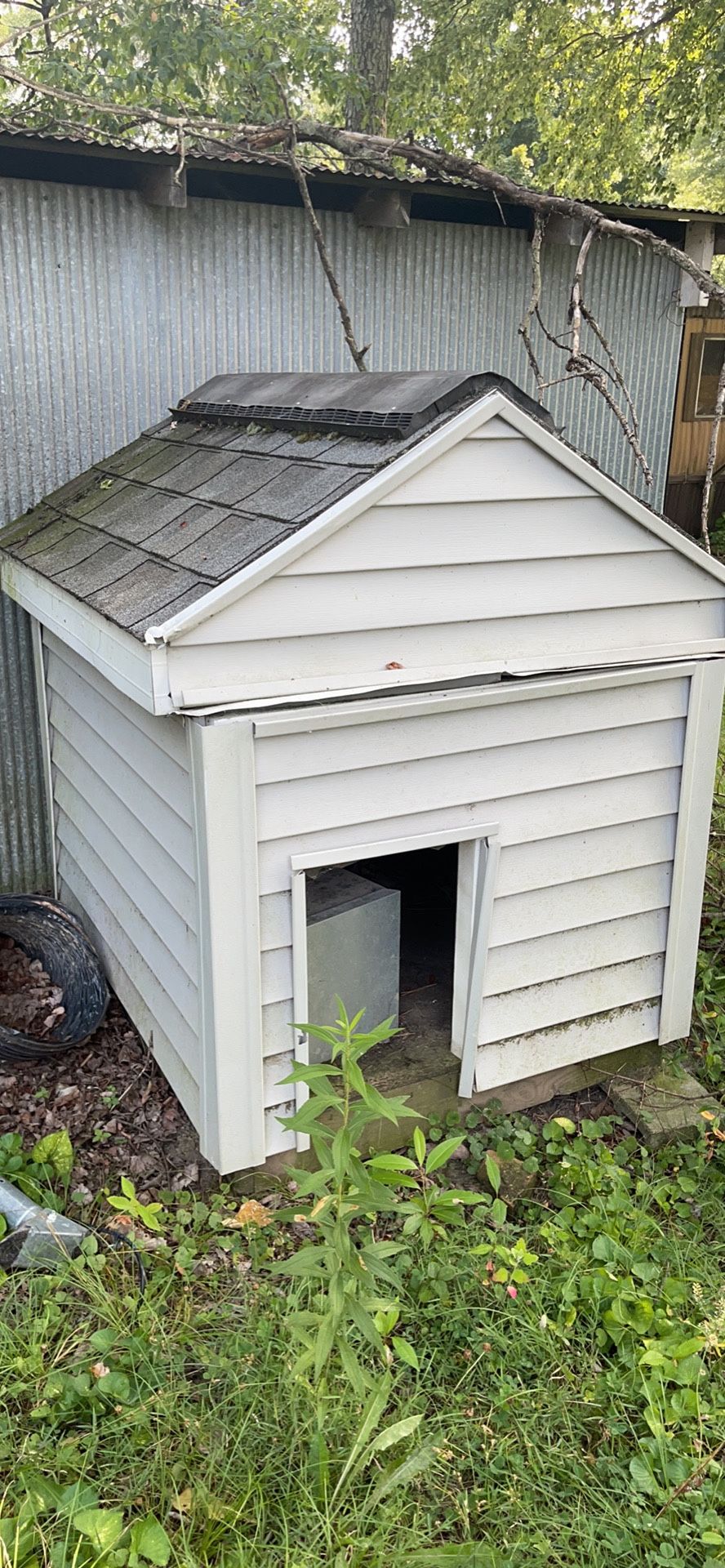 Dog House Removable Roof 
