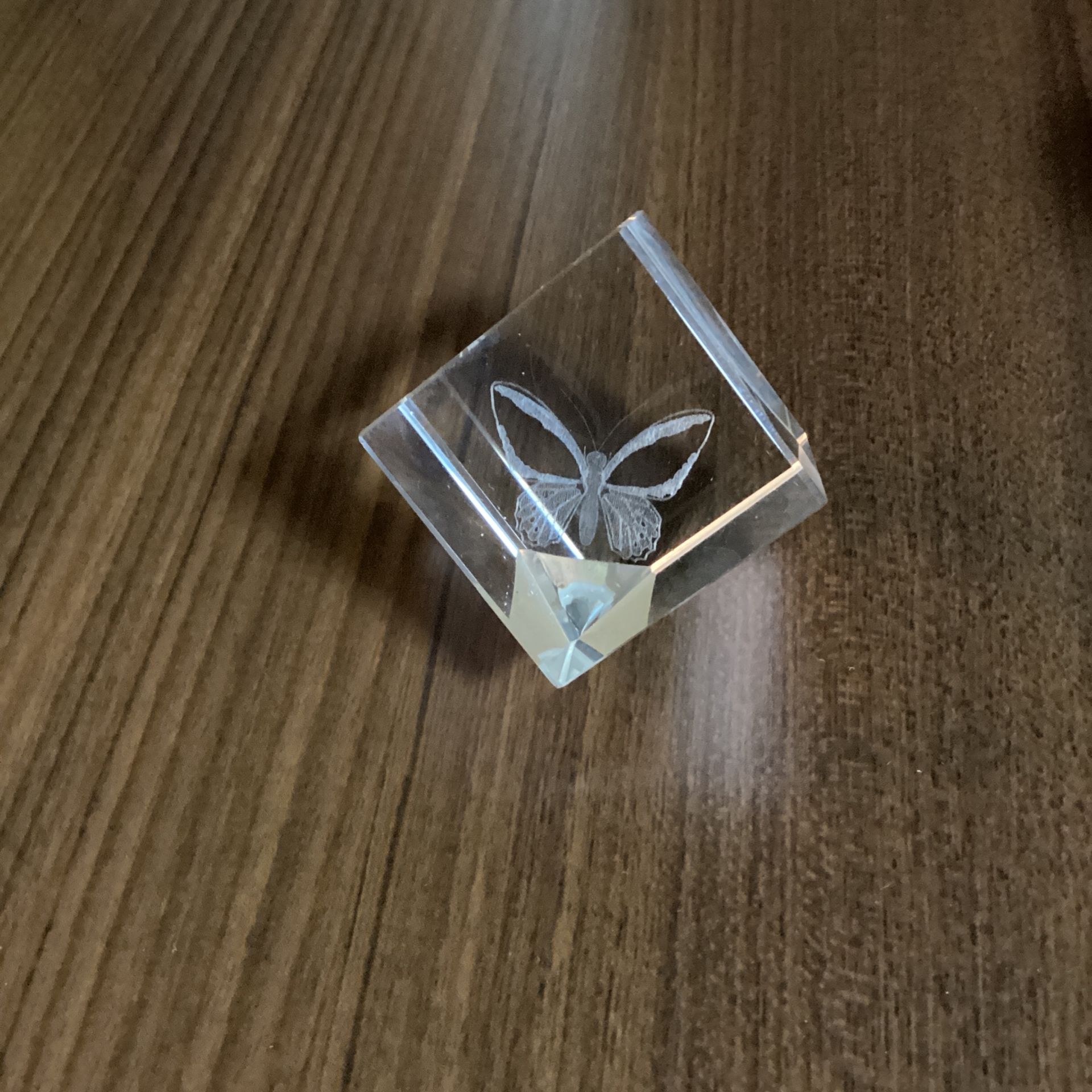 Great Butterfly Paperweight 