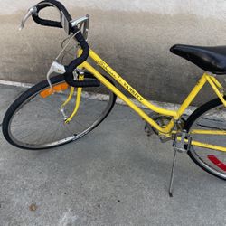 Vintage Bicycle Schwinn 1975