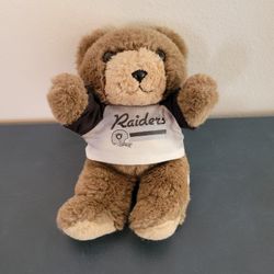 Teddy Bear Plush Stuffed Animal Wearing Raiders T-Shirt 10"