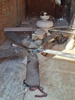 Ceiling fan