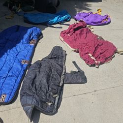 Horse Blankets 