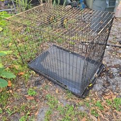 Dogs Cage
