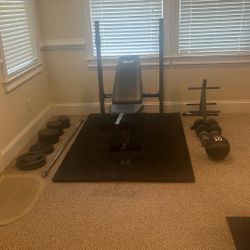 Incline Weight Bench, Weights, Plate Rack, Small Dumbbells