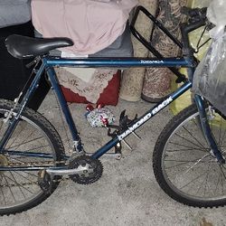 Mountain Bike 