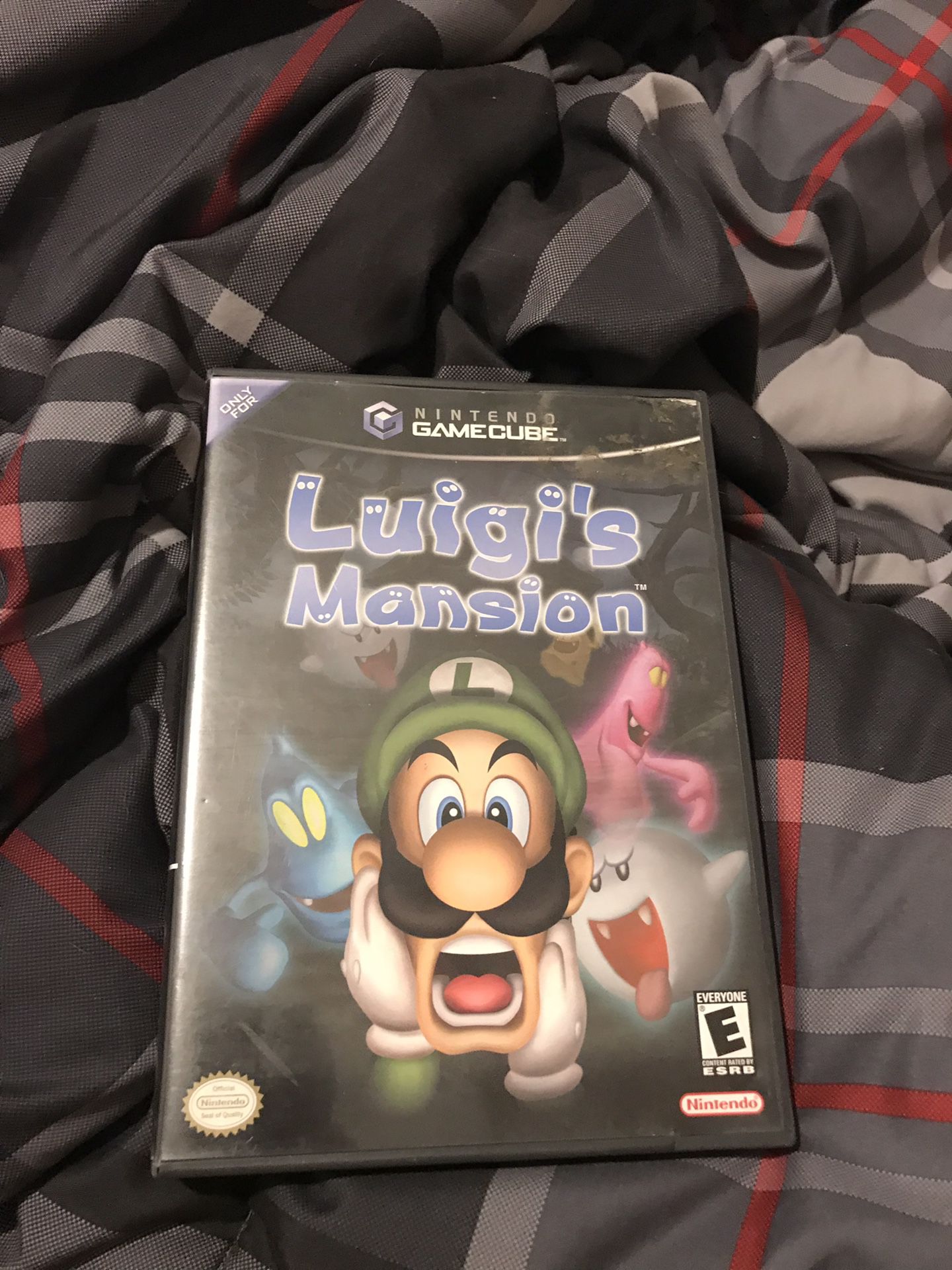 Luigi's mansion for gamecube with manual and case