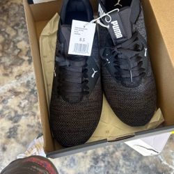Pumas