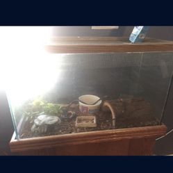 Reptile Tank 