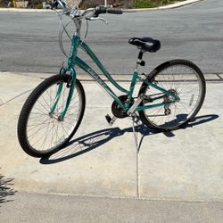 GIANT Comfort Cruiser Bike – Smooth Ride, Great Condition!