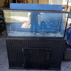 Fish Tank 55