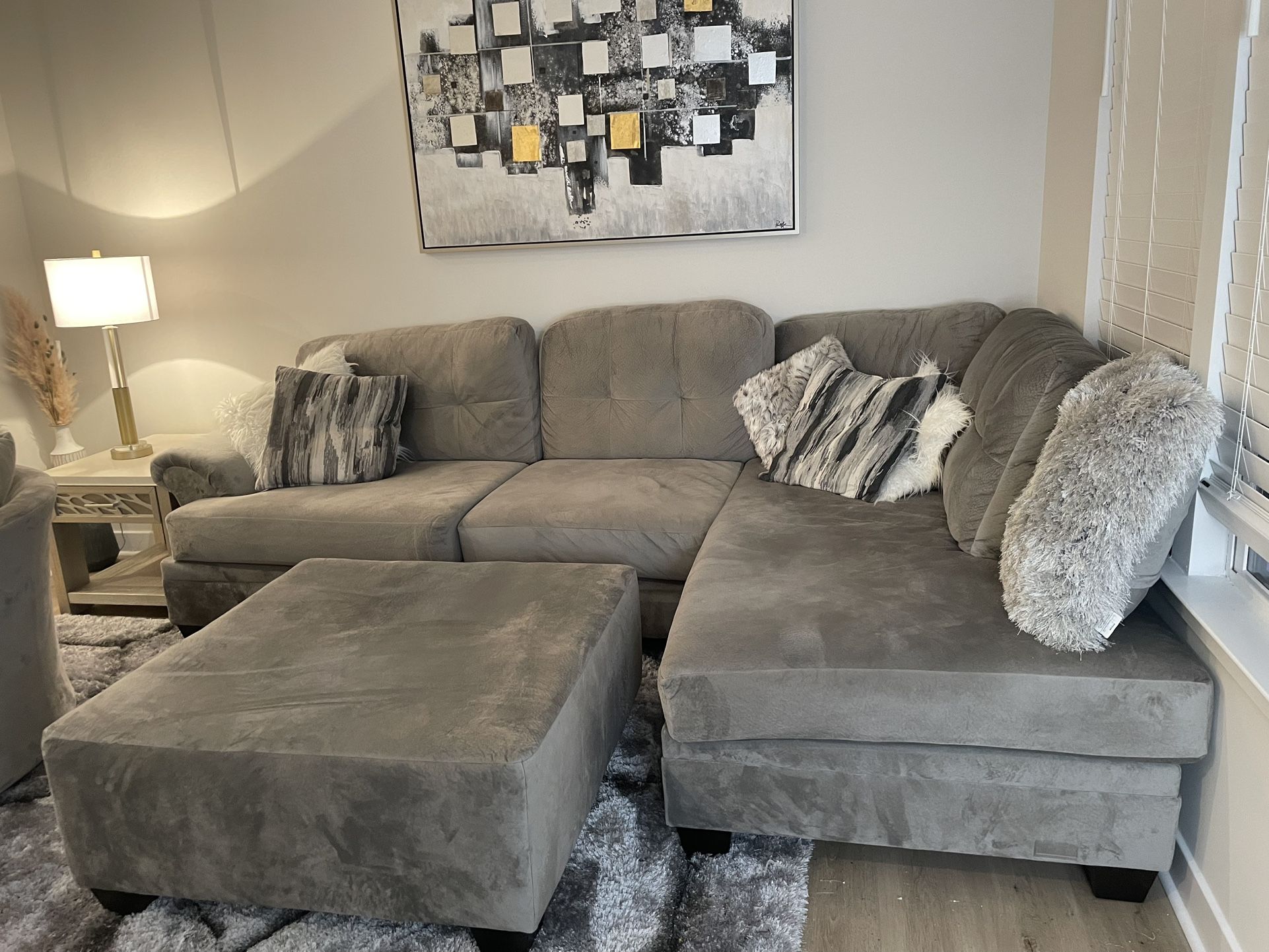 Large Couch Plus Sectional