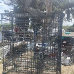 Big Bird Cage 