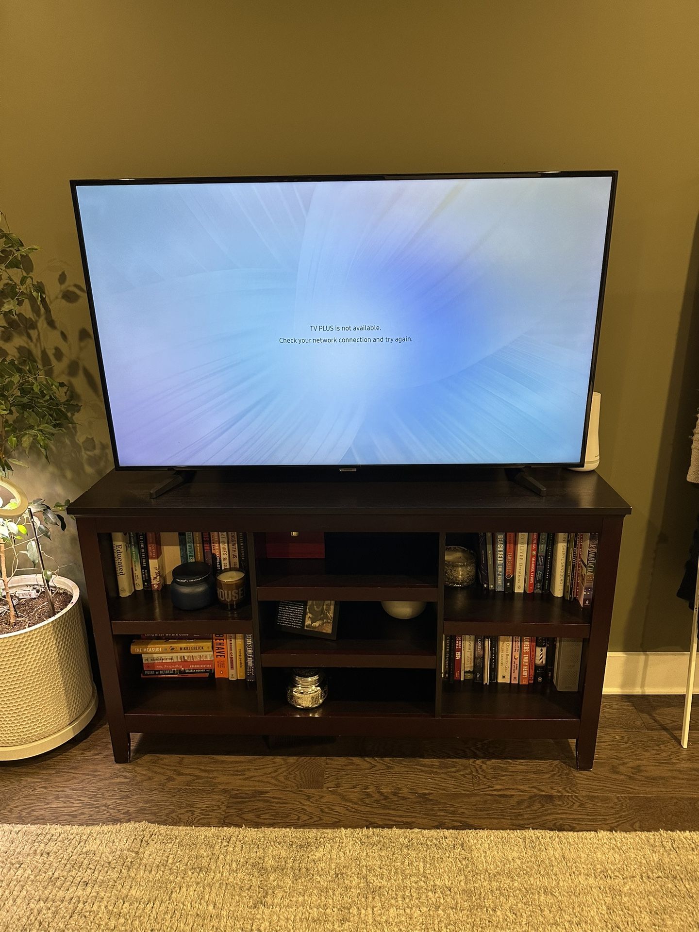 55 Inch Samsung TV