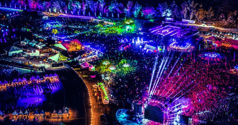 CAR CAMPING NOCTURNAL WONDERLAND