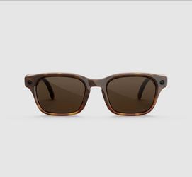 META AI GLASSES ADVENTURE TORTOISE