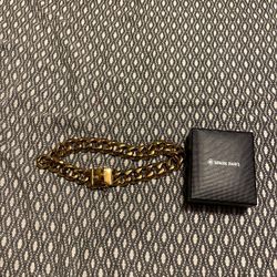 Gold Chain Dog Colar 