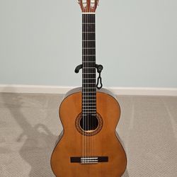 Yamaha Acoustic Classical Guitar C-40 Brand New 