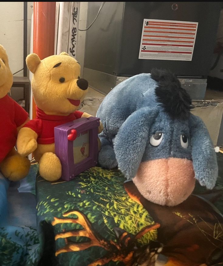 Winnie The Pooh and Eeyore