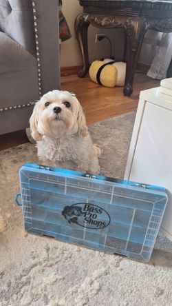 TACKLE BOX BASS PRO SHOPS  $10