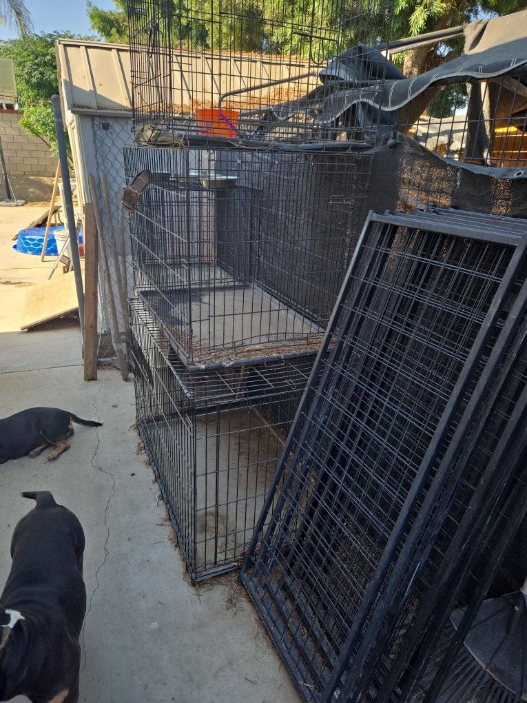 Dog Crates /kennels 