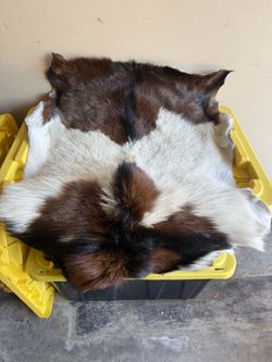 Goat Fur, Kangaroo Fur, and 2 Lamb Furs 