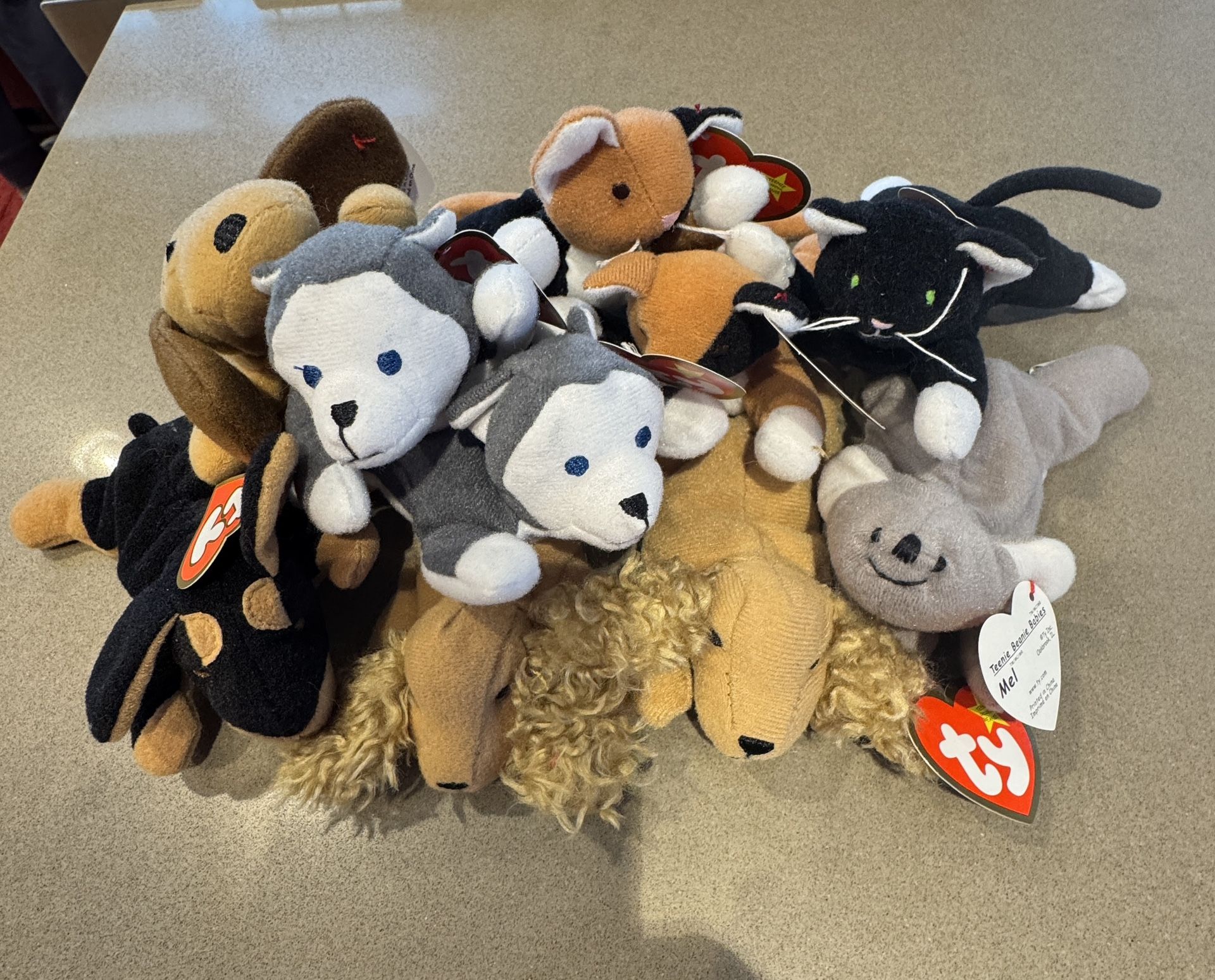 Ten Teenie Beanie Babies