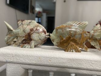 STONE FISHES