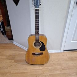 12 String Guitar