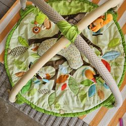 Baby Gym