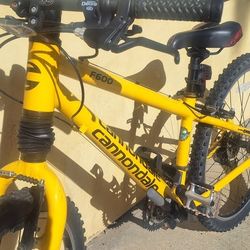 Mountain Bike Cannondale F600 Fatty Like New 