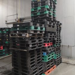 Free Plastic Pallets But I Only Need You To Take 10 Or More Because I Want To Release Fast Here Please Only Serious People