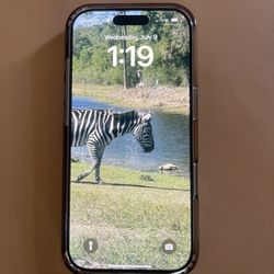 iPhone 16 Pro 