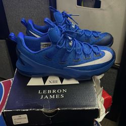 LeBron Xll Low 