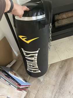 Everlast 40LB Heavy Bag