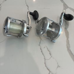 Avet Reels Avet LX 6.0 Conventional Reel – Great Offshore Reel