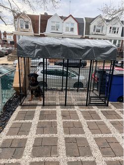 Huge outdoor Dog kennel