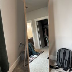 Full Length Mirror $25