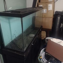 Large Fish Tank + Accessories 