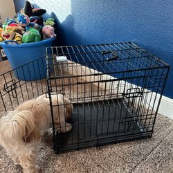 Dog Crate