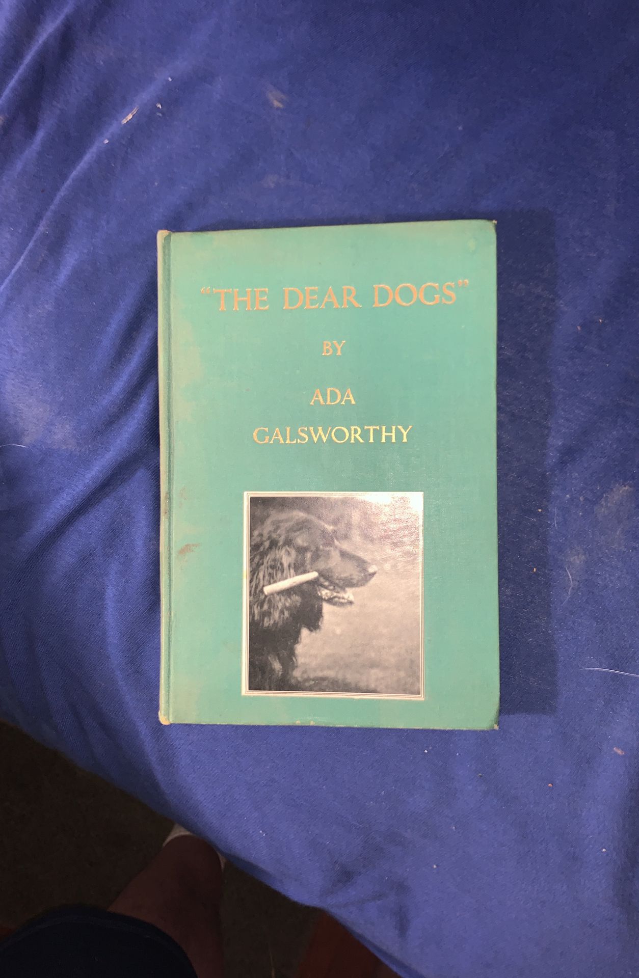 “The Dear Dogs” HARDCOVER BOOK  FIRST EDITION 1935