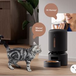 Pet Feeder Automatic (NEW)