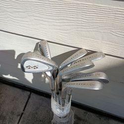 Snake eyes TC 01 iron set