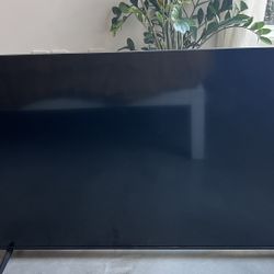 TV insignia 55”